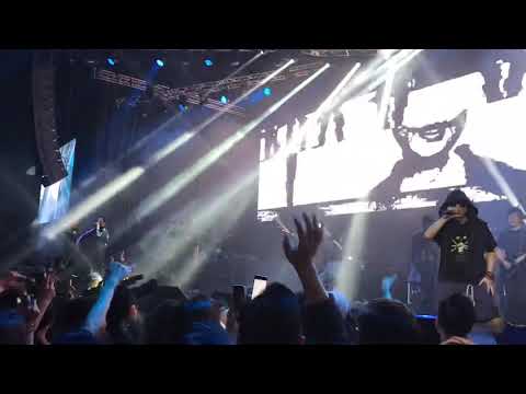 LMF 2019 lmfxxyaerfest