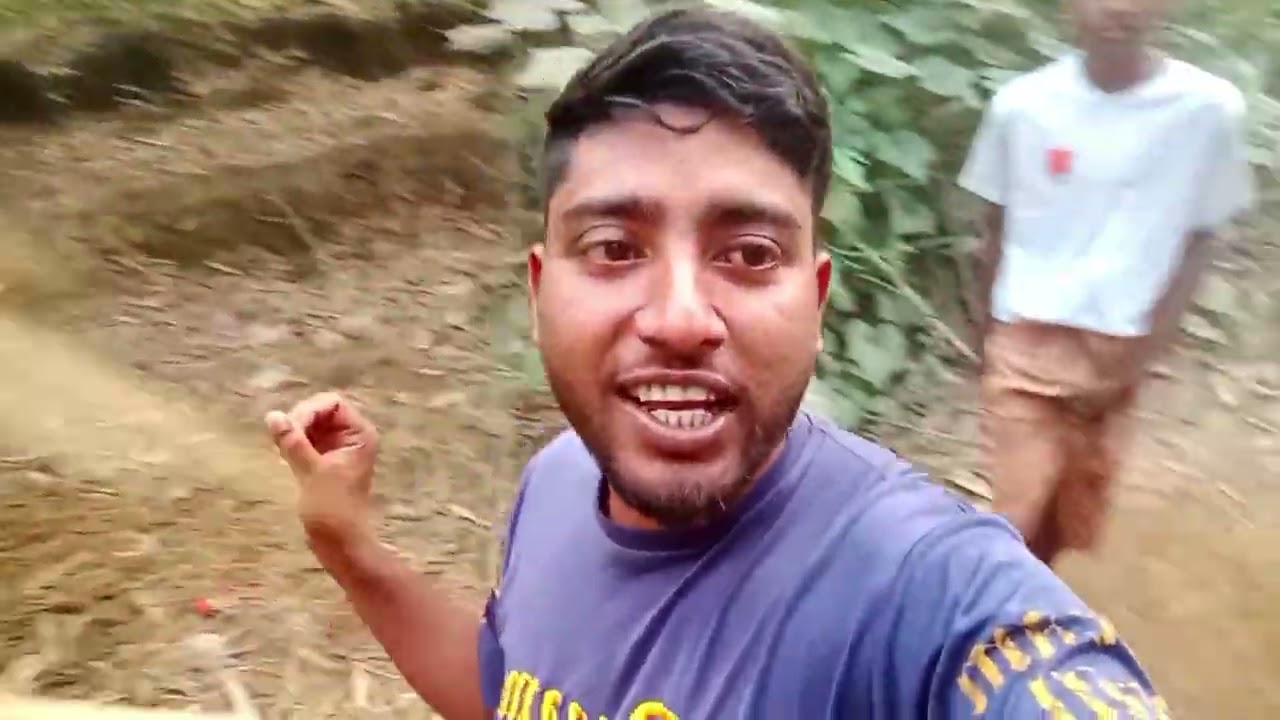 এটা কোনো সাধারণ গাছ না #blog #videos #my blog