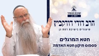 חטא המרגלים- פספוס תיקון חטא האדמה | שיעור לפרשת שלח- לך | הרב דודי דודקביץ'