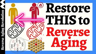 How THIS Natural Ingredients Supplement Addresses All Hallmarks & Reverse Aging?