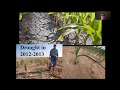 Webinar: Growing with Healthy Soil Biology