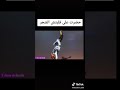 ويلي يا ويلي