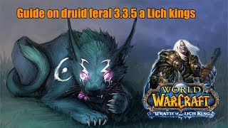 Гайд на ферала 3.3.5а PvE/Guide on druid feral 3.3.5a a Lich Kings