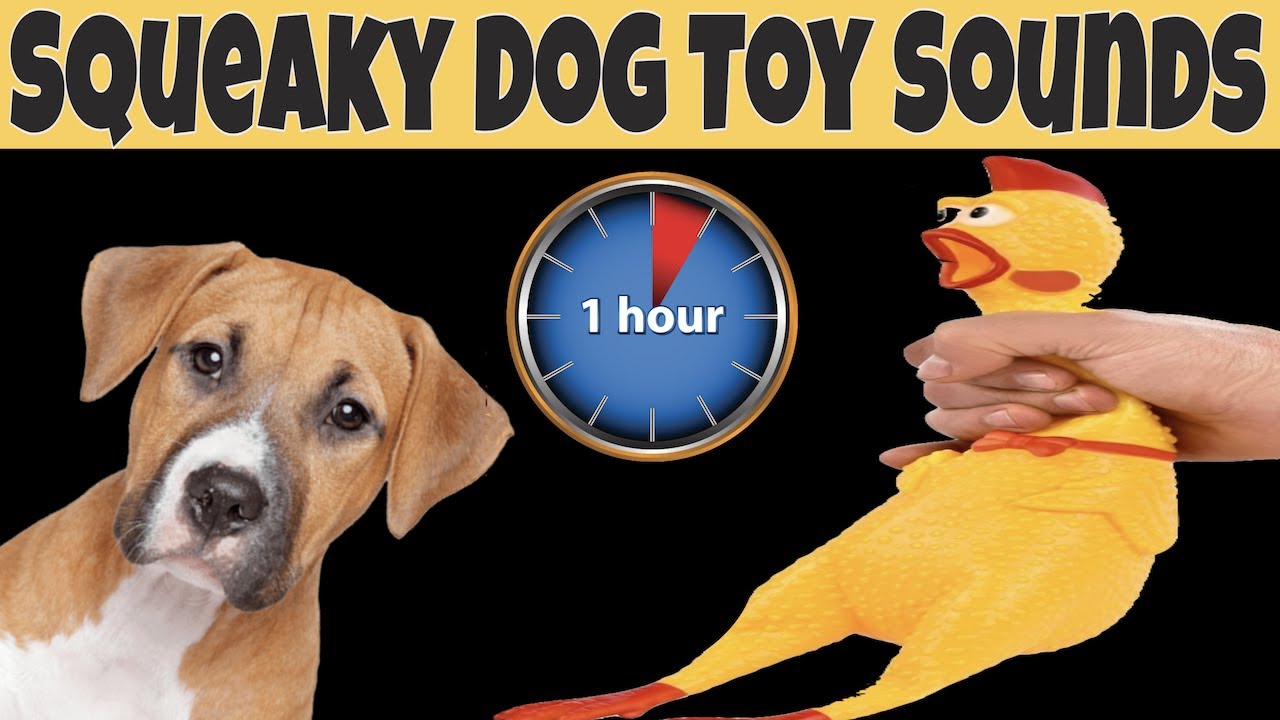 Squeaky Toy Dog Sounds 1 Hour