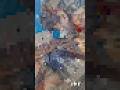 Sky works #shorts #shortvideo #viral #viralvideo #sky #skypainting #skyart #drawing #painting #art