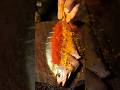 fish fry recipe #foodshorts #fishfry #foodie #cooking #shorts #foodblogger @NumadicCapital07