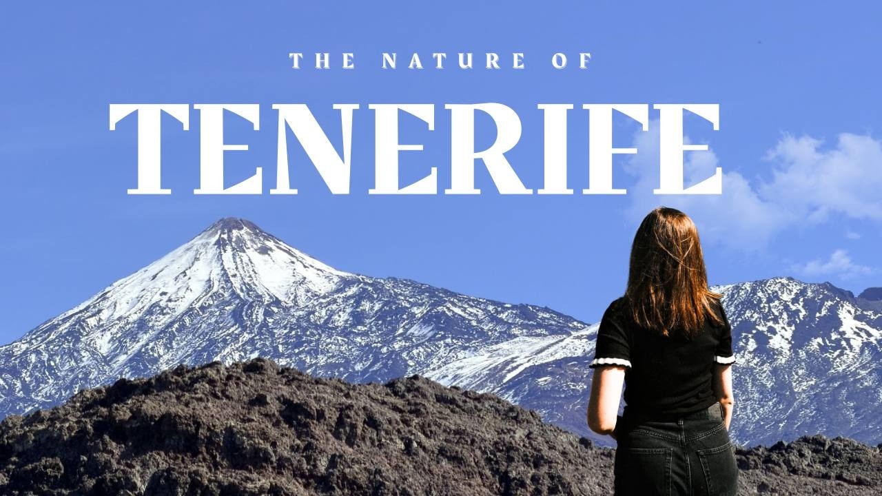 Мое первое видео с путешествия / Остров Тенерифе и его красоты