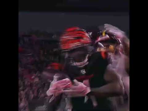 B*tches love the gram… #nfl #jamarrchase #raystyle #tryhard #bengals