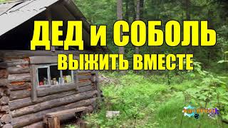 ЗИМОЙ В ТАЙГЕ ВЫЖИТЬ ВМЕСТЕ | ДЕД И СОБОЛЬ | ТОПОР И НОГА | ДОБРАТЬСЯ ДО ЗИМОВЬЯ ЛЮБОЙ ЦЕНОЙ