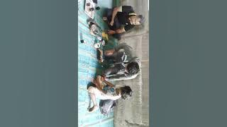 Pengetesan rantai babi (RB ACEH)