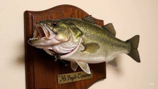 The Big Mouth Billy B Singing Fish In Real