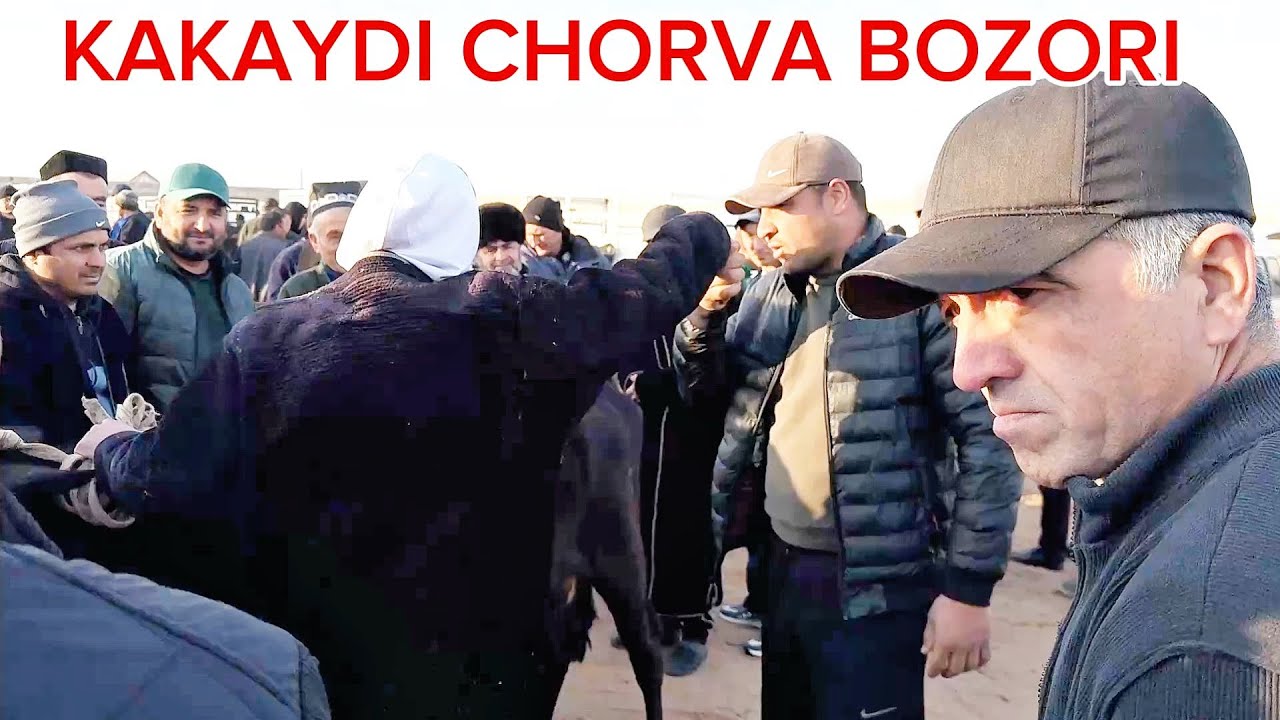 KAKAYDI PAYSHANBA BOZORI 15.01.2026y