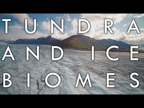 Das Tundra-Biom und das Eis-Biom - Biomes # 8