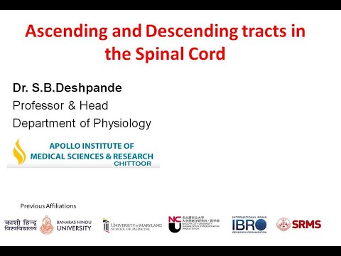 Video Ascending and Descending Tracts in the Spinal cord - youtube