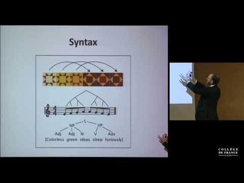 La cognition animale (3) - Stanislas Dehaene (2015-2016)
