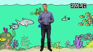 What Is Ocean Acidification  A Cartoon Crash Course