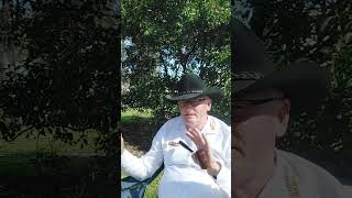 Week 35 Update Brian McManus Real Estate 