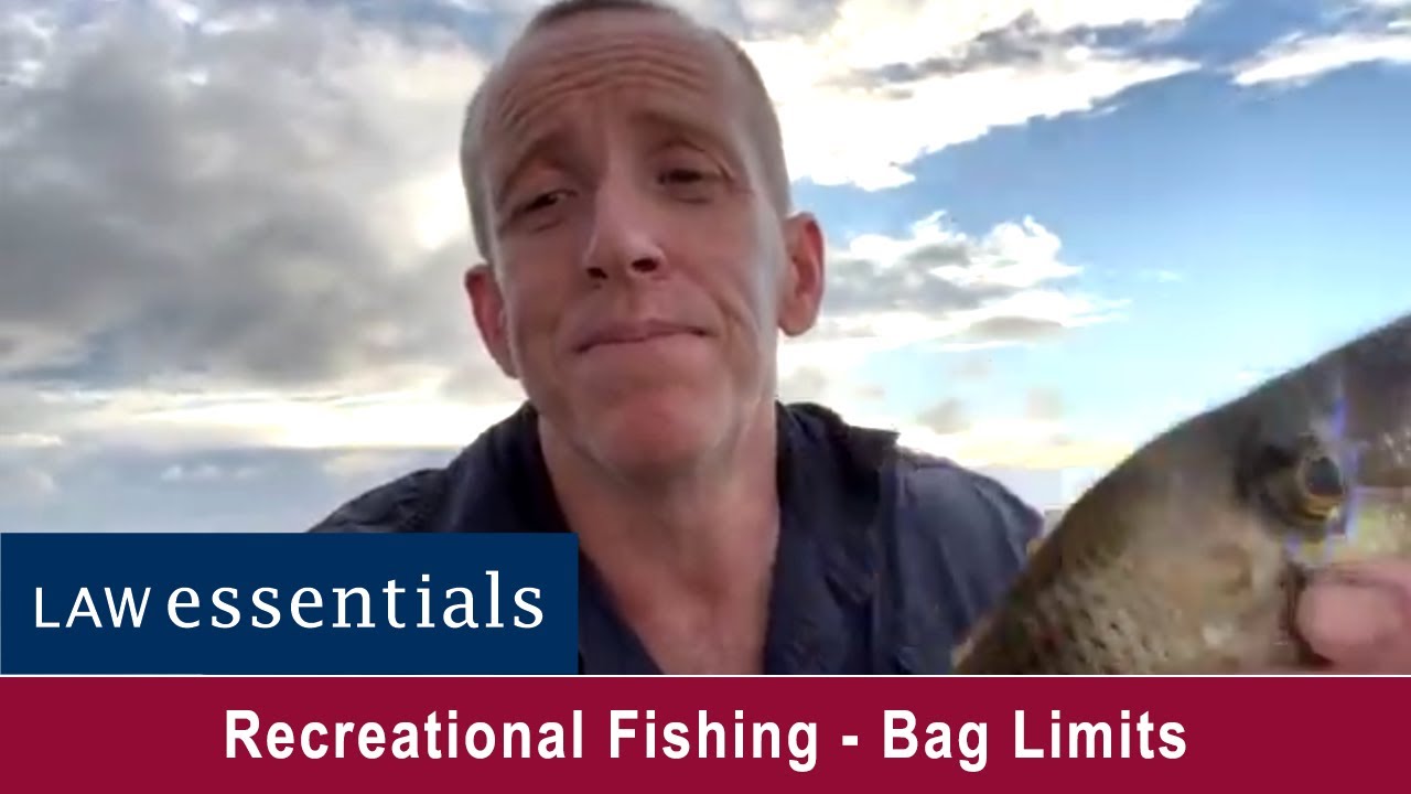 Bag Limits What Do They Mean YouTube bag-limits-what-do-they-mean-youtube