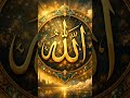“SubhanAllah… Dil ko sukoon mil gaya ❤️”#Allah#IslamicPost#IslamicArt#Deen#Iman#SubhanAllah
