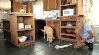 starmark dog boarding