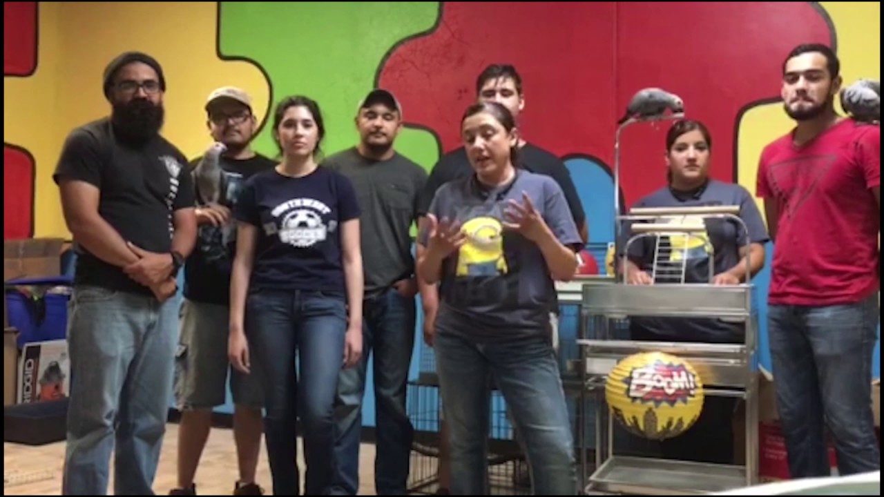 Thrive15 Business Coaching Reviews | "It would definitely recommend the program."