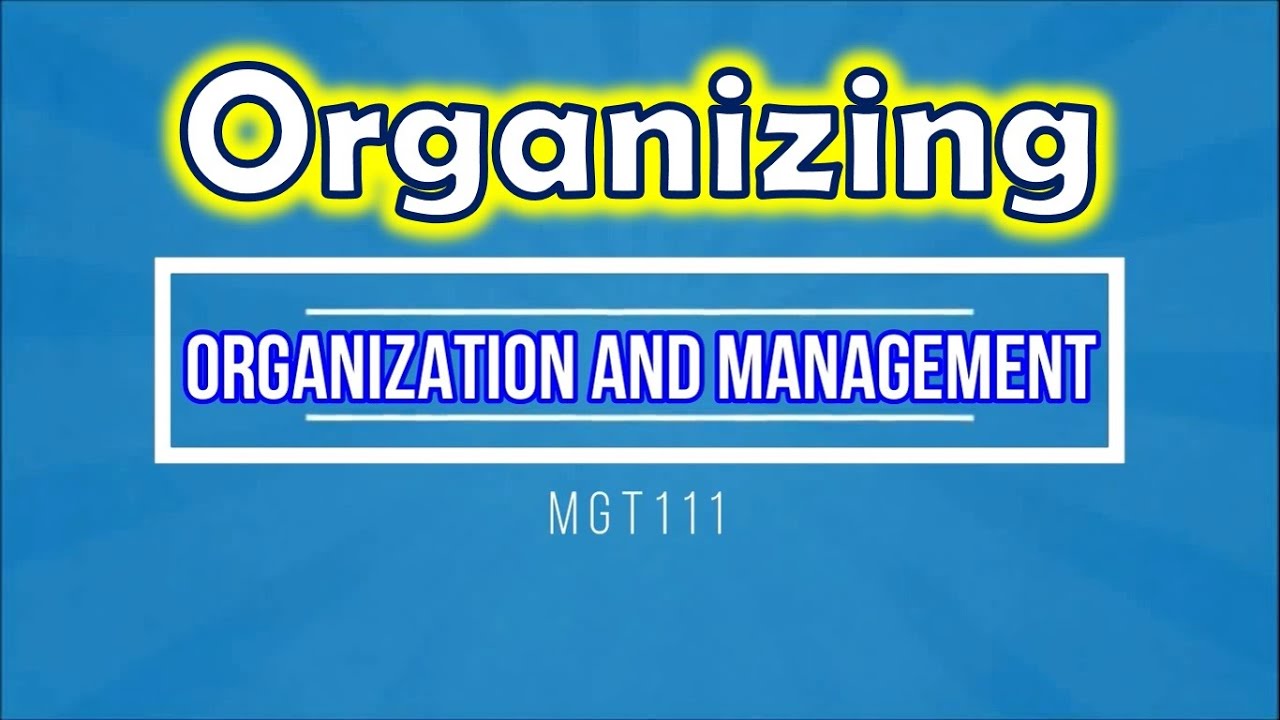 organizational plurality