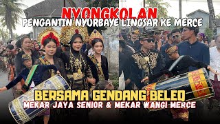 Pengantin Nyurbaye Lingsar Nyongkolan Ke Merce Narmada Bersama Gb Mekar Jaya Senior Dan Mekar Wangi