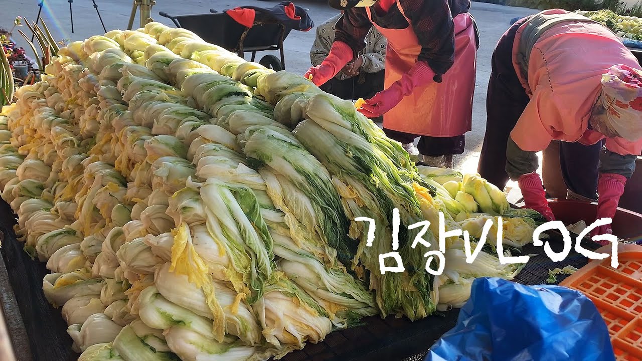김장 VLOG🥬올해도 어김없이 찾아 온 놀래 자빠지는 이제이네 김장 하는날(Feat.배추 400포기) 올해는 좀 적다....이제이레시피 EJ RECIPE (ENG,JP SUB)