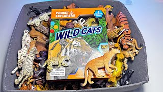 Big Cats U0026 Wild Cats Collection  Lion Tiger Cheetah Leopard Jaguar Lynx Serval Black Panther