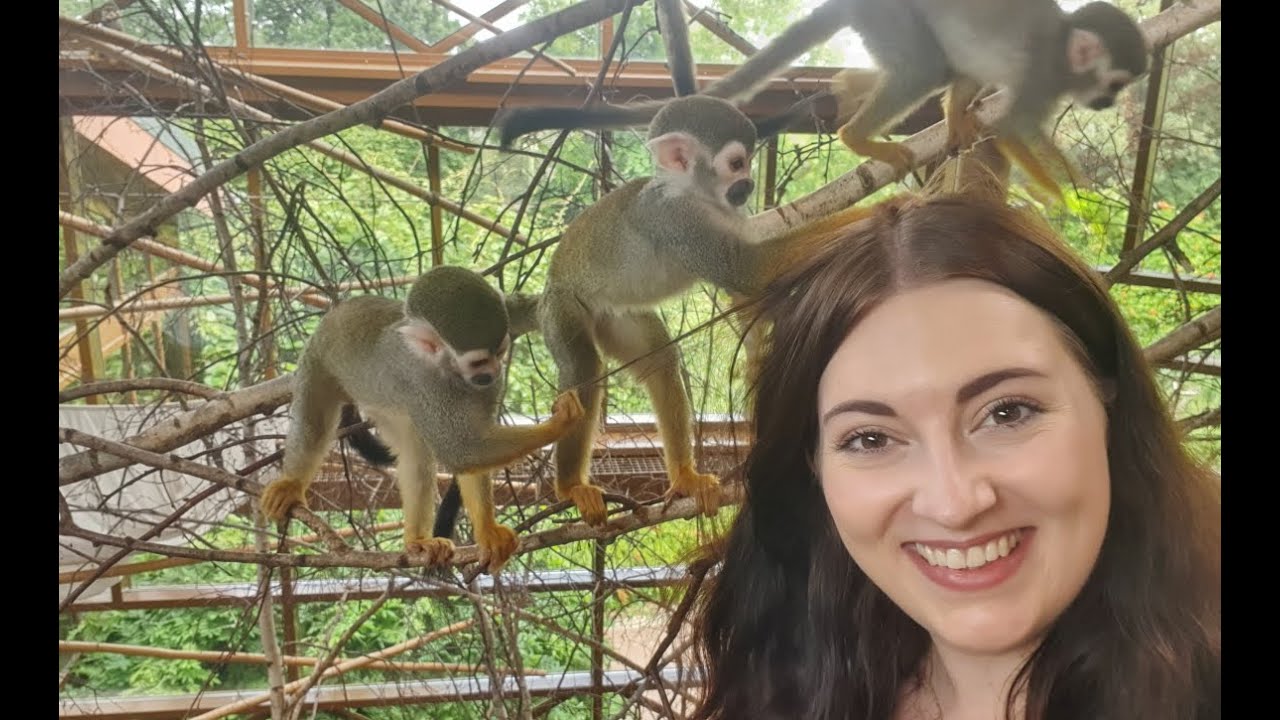 JULIA'S ZOO NAH DRAN 🤩☠️🐒 Folge 5: Der Totenkopfaffe