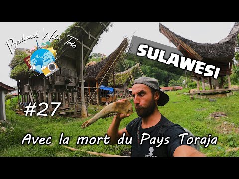 Vidéo: Toraja, Indonésie : ce qu'il faut savoir avant de partir