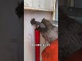 船員が船上で日常行うメンテナンス作業のひとつに、錆叩きがあります。 #プチ知識