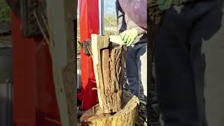 Vertical Log Splitter