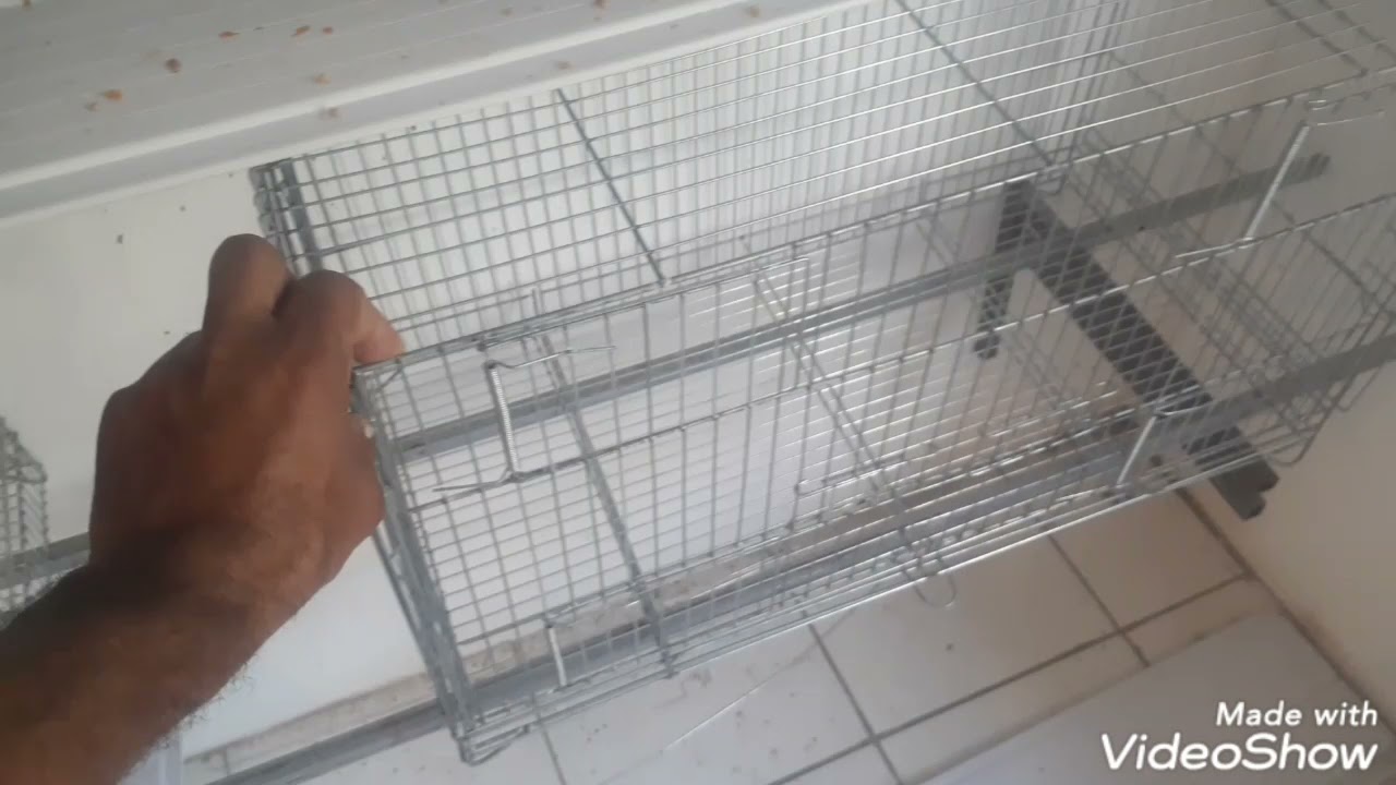 fabricação de gaiola máquina para fazer gaiola