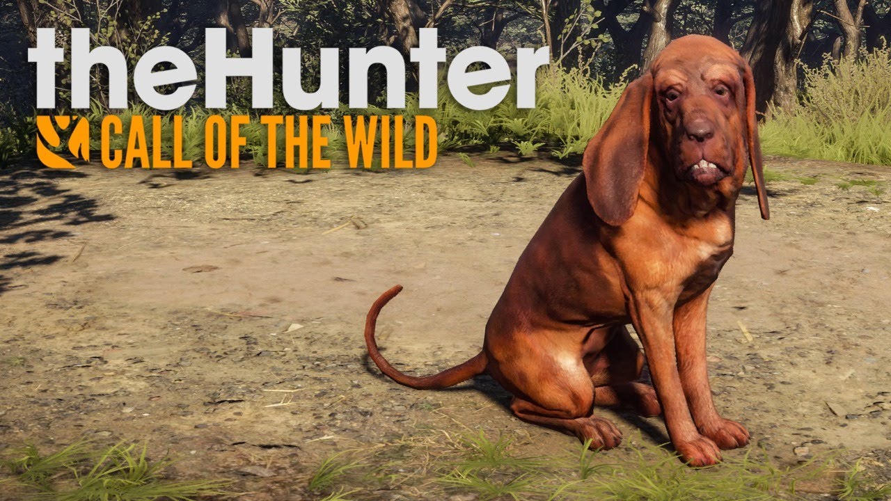 The Hunter Call Of The Wild Diamant Tiere Finden Den Bluthund leveln & Diamant Tiere jagen! Mit Miri 🤠 - The Hunter
