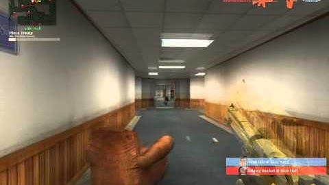 Counter-Strike: Source Micspam
