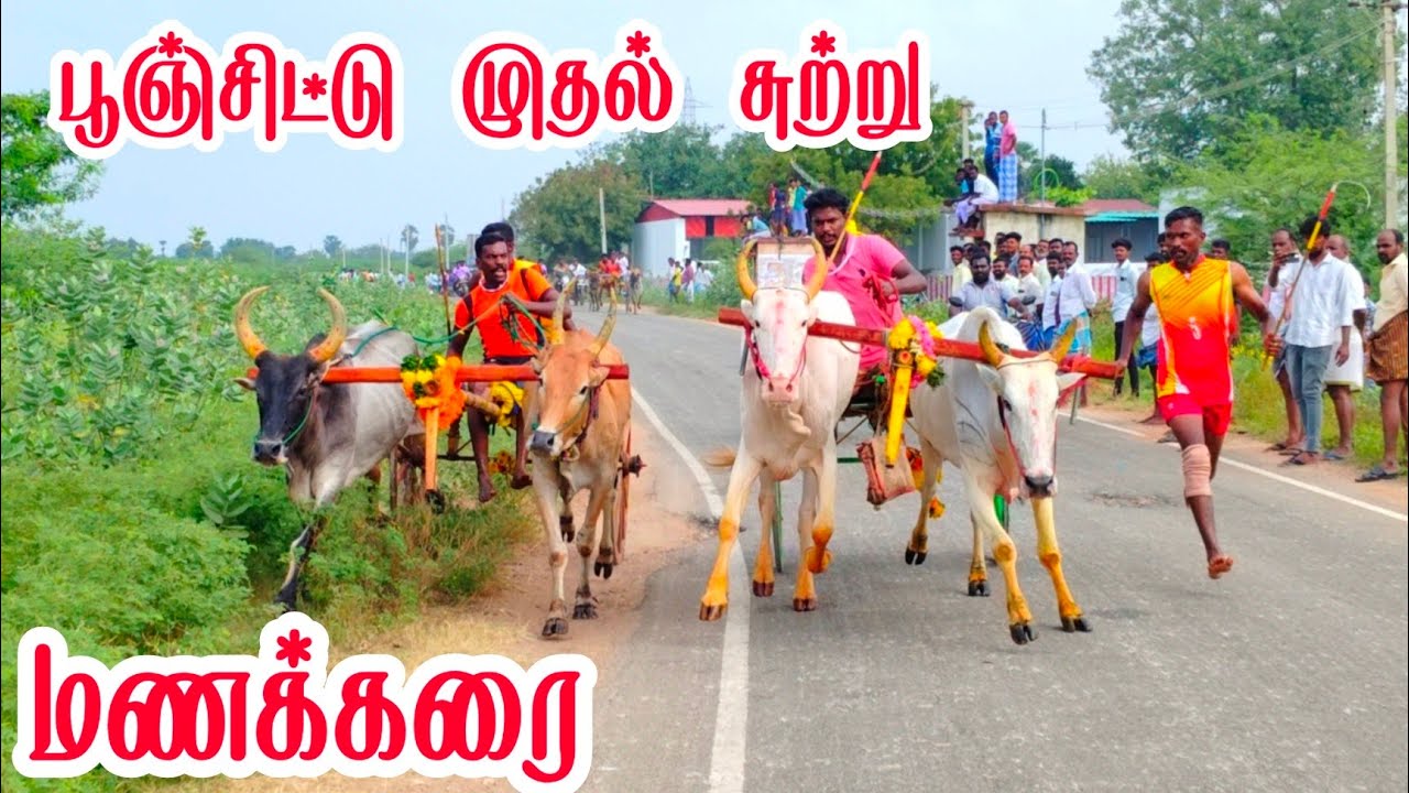 1 மலைபார்வதி அம்மன் கோவில் கொடை விழாவை முன்னிட்டு நடந்த மணக்கரை பந்தயம்