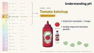 Exploring the pH Scale
