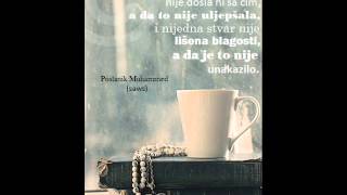 Kako Postupiti Kada Te Neko Uvrijedi? - Prof. Elvedin Pezic