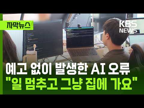 [자막뉴스] 예고 없이 발생한 AI 오류…"일 멈추고 그냥 집에 가요" / KBS 2026.05.14.
