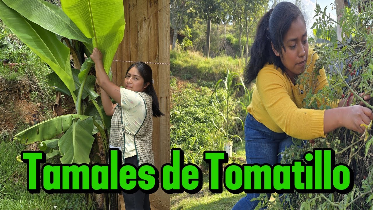 Preparamos unos Tamales de Tomatillo (fue la primera vez ,)quedaron riquísimo 🤤