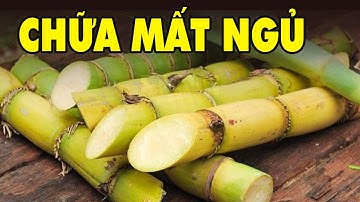 Tác Dụng Thần Kỳ Của Cây Mía Chữa Mất Ngủ | Sức Khoẻ Đời Sống HYT3