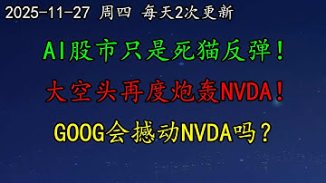 美股 知名人士：AI股市只是死猫反弹！大空头再度炮轰NVDA！GOOG会撼动NVDA吗？最大受益者竟然是另一家公司！BTC、ETH、纳指、黄金、AVGO、ORCL、AMD、NVDA