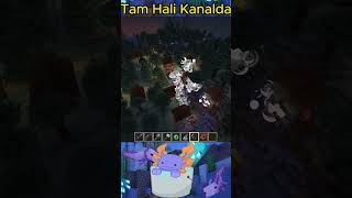 Bir Sonraki Hareketini Belli Etme!! Minecraft Parkur Harita #minecraft #minecraftefsaneleri #shorts
