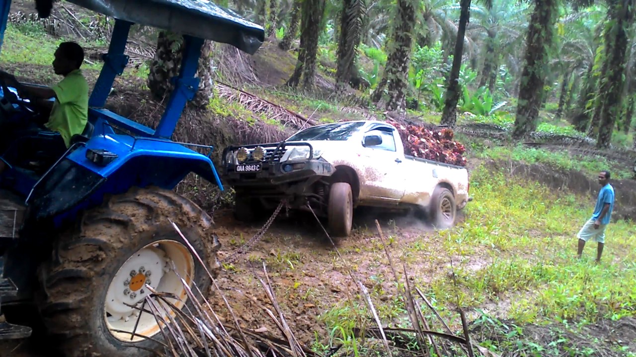 Vigo d tarik oleh pokson...