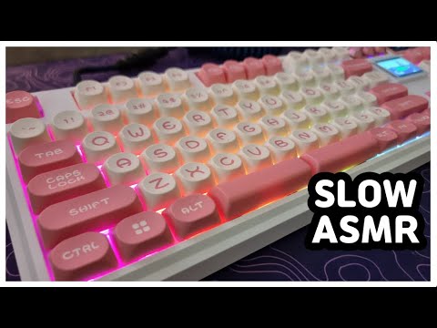 【SLOW ASMR】 Skyloong GK104 Pro⌨️ | KTT Rose Sea Blue | Keyboard Typing ASMR | No ADs No Talking😴