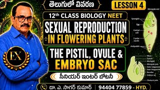 12th class biology |Sexual reproduction in flowering plants |The pistil, ovule, embryo sac | Telugu