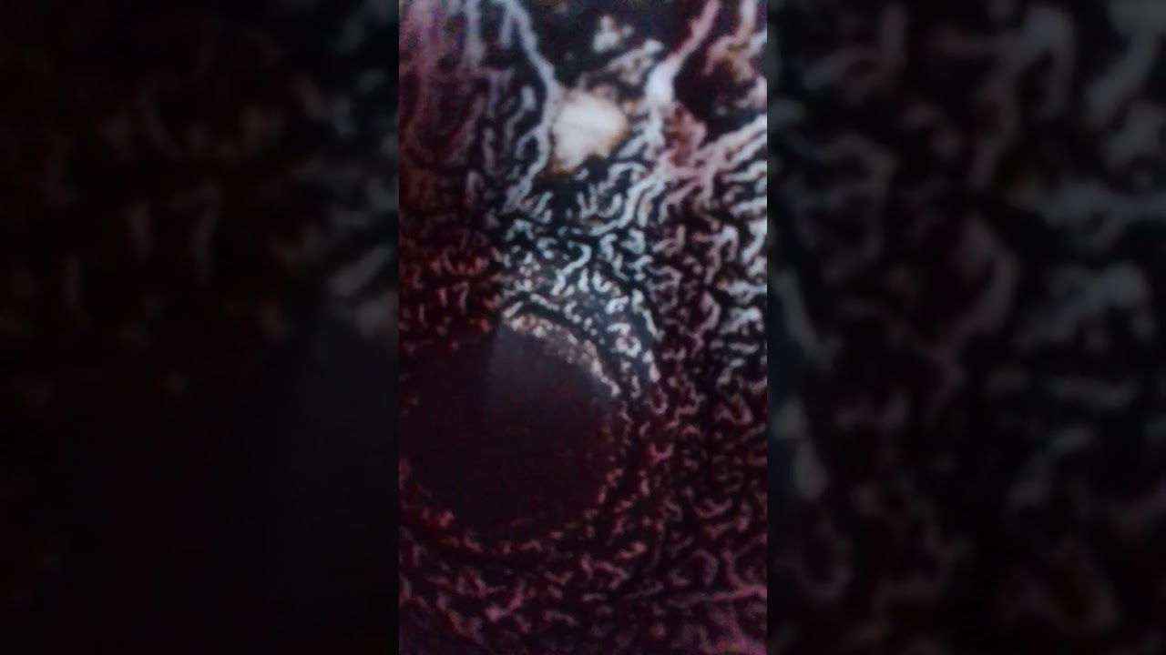 برج الأسد 👈 كارما الظالم 👈 😢صرخه امرأه ،🤔استغلال وخطر ، 👀هدم وإنقاذ ، 👈فصل وانفصال ، امرأه مكسوره💯👍💯