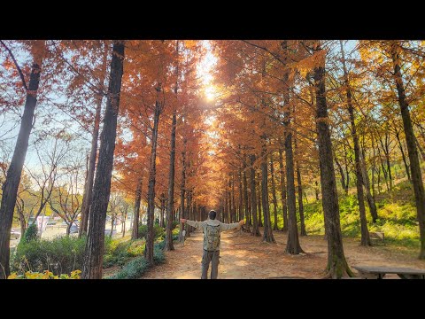 [4K] 서울둘레길 / 13-16코스 / 서울여행 / 국내여행 / 국내 트레킹 / 도보여행 / Seoul Trail / Korea Travel