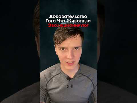 Животные эволюционируют быстрее нас..